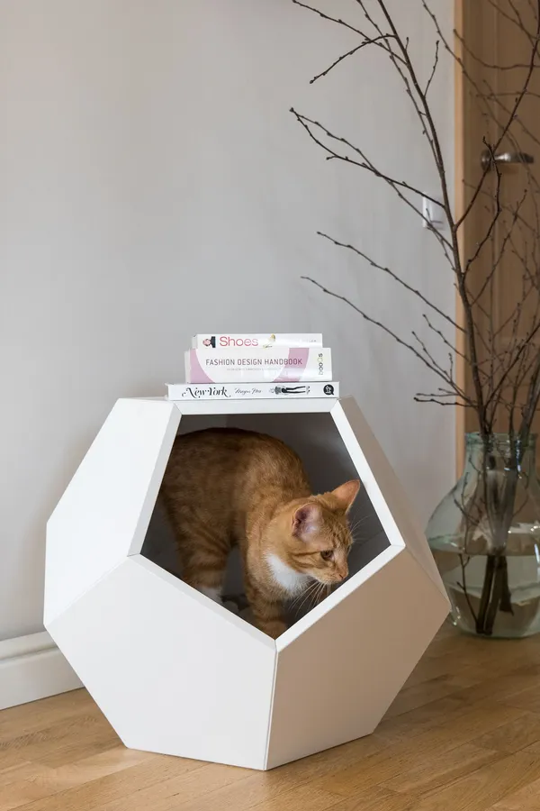 Tetrahedon white cat house with ginger cat