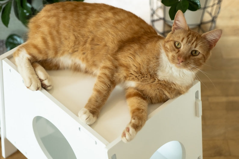 Cat bed "SHUSH"