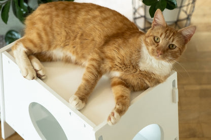 Cat bed "SHUSH"