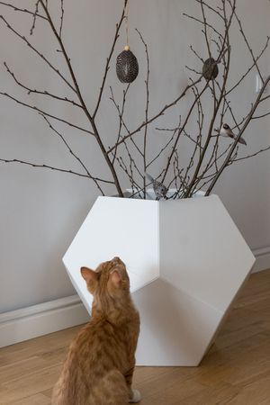 Multifuncional Polyhedron White