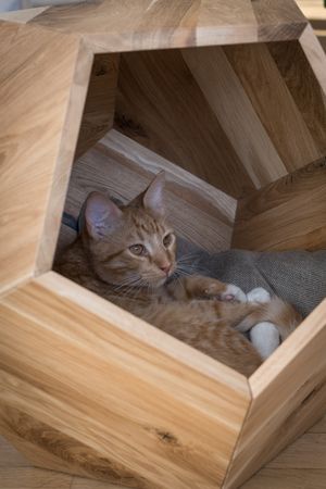 Multifunctional Polyhedron Natural Solid Wood