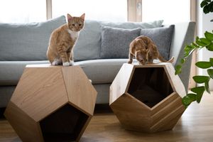 Multifunctional Polyhedron MDF veneered Oak Natural