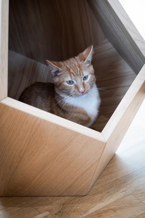 Multifunctional Polyhedron MDF veneered Oak Natural