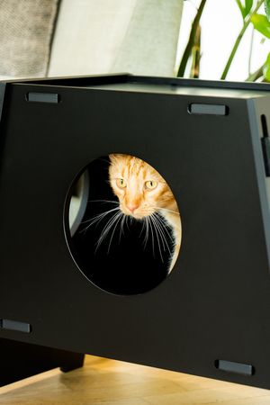 Cat bed ShushShush Black