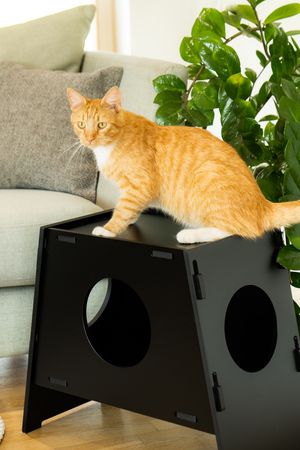 Cat bed ShushShush Black