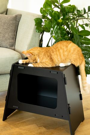 Cat bed TV Black