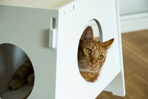 Cat bed ShushShush White