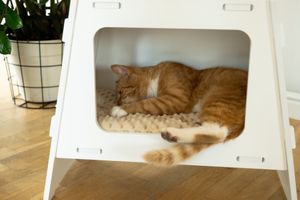 Cat bed TV White