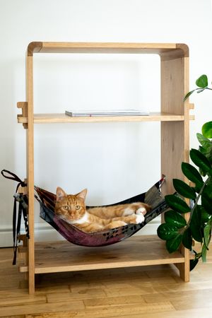 Multifunctional Cat Hammock veneered Oak