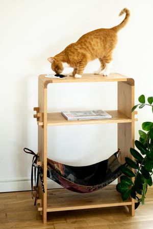 Multifunctional Cat Hammock veneered Oak