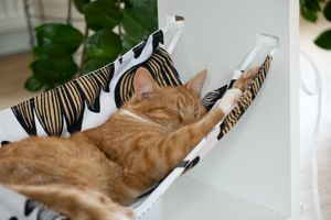 Multifunctional Cat Hammock veneered White