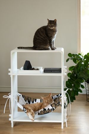 Multifunctional Cat Hammock veneered White