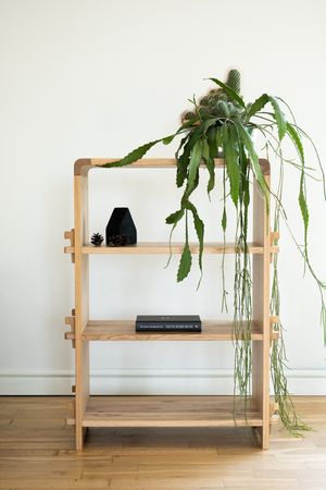 Multifunctional Cat Hammock veneered Oak