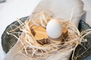 Butterfly Egg Holder