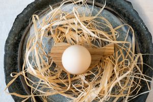 Bird Egg Holder