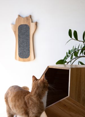 Cat Scratcher Pow- natural