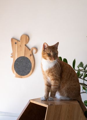 Cat Scratcher Mouse Natural 