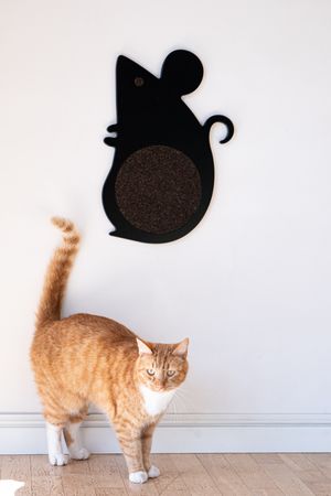 Cat Scratcher Mouse Black 
