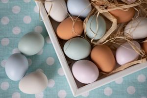 Rectangle Tray White