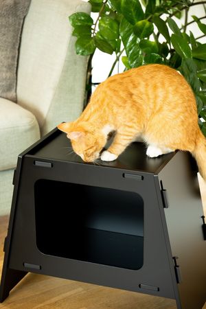 Cat bed TV Black