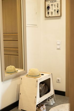 Cat bed TV Natural