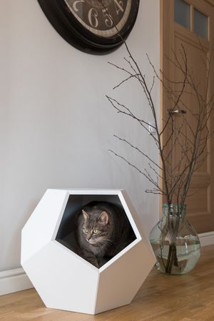 Multifuncional Polyhedron White